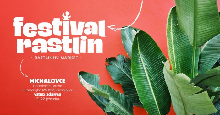 l 616706469 122208855188355350 528185590035680991 n