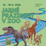 629740559 1498317695634936 7167515830146205154 n