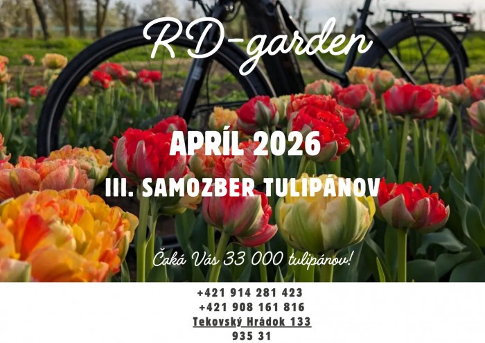 FB IMG 1771652848884