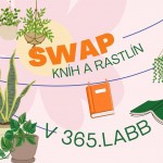 FB IMG 1771858781024