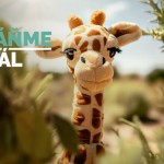 631219270 1418842356348863 4279496734914464220 n