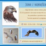 641359839 122248936724154823 4898258435946762772 n