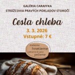 640923870 1768517984584536 3204613066605208289 n