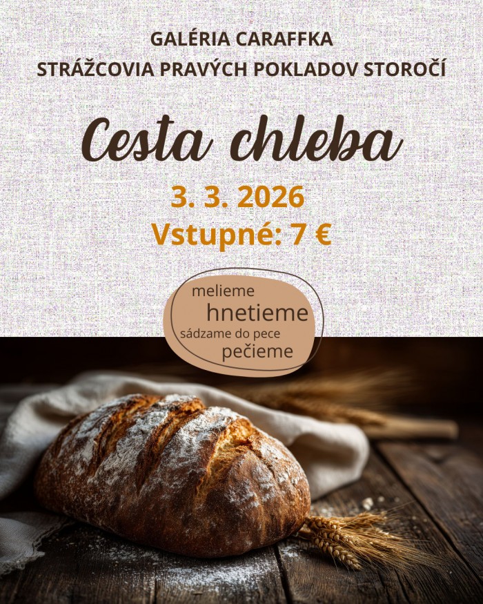 640923870 1768517984584536 3204613066605208289 n