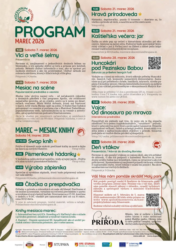 641102767 892199460266116 1525371213261067987 n