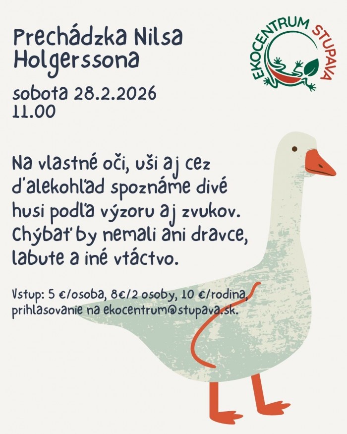 641297506 892117830274279 3822724234282000259 n