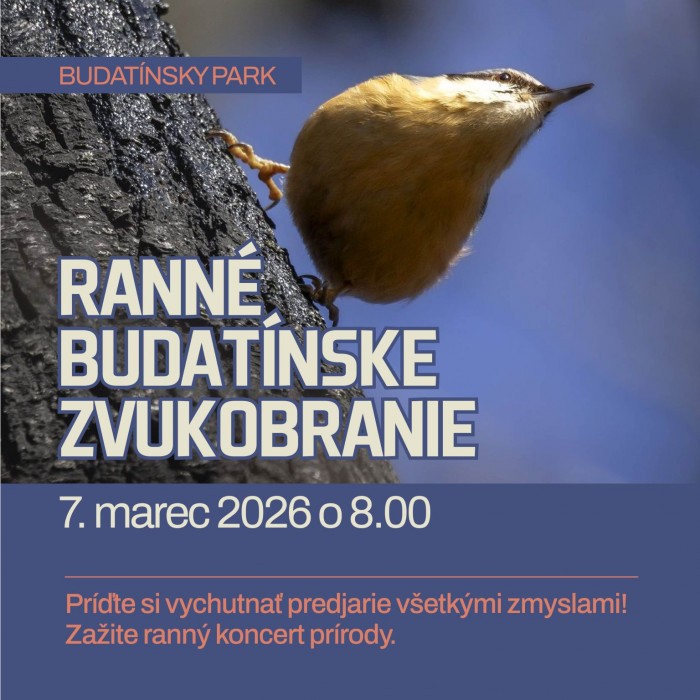 Ranne zvukobranie web 1536x1536