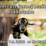 645508872 1297896722386728 4416655641546842322 n