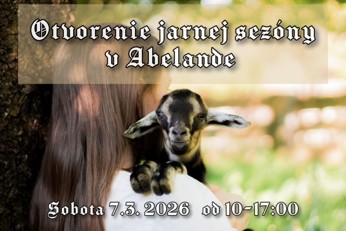 645508872 1297896722386728 4416655641546842322 n