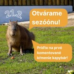 654203308 1530765892390116 4357421723028763607 n