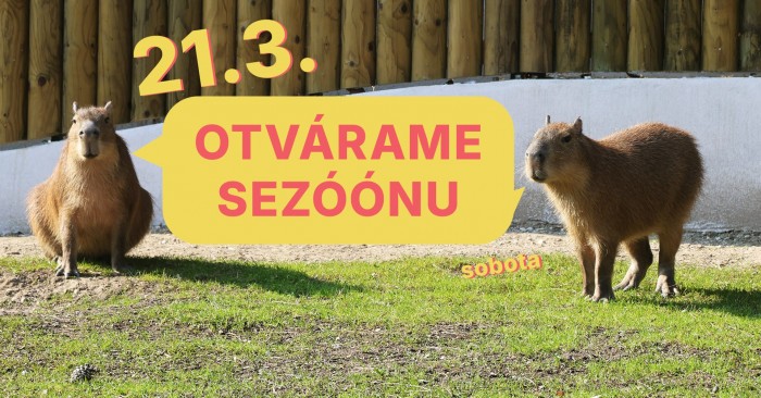 645089738 1519792740154098 5504196965620542461 n