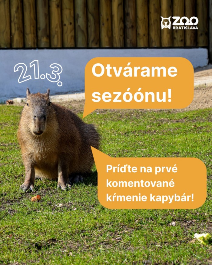 654203308 1530765892390116 4357421723028763607 n