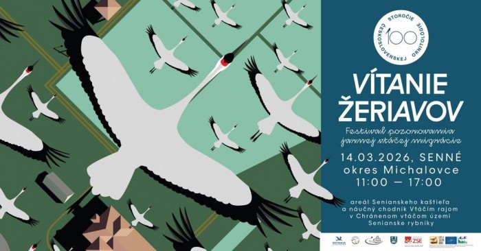 l 646621411 1359722552865816 6030556752105382695 n