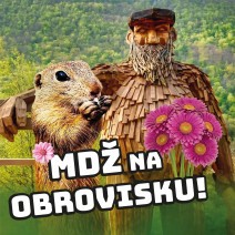 FB IMG 1772744745410