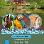 670274361 1366730592156545 7499751108760917554 n