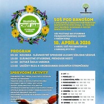 672051502 1271767935091252 7698724883193275274 n