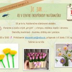 649706043 122250729710154823 4016403041340868593 n