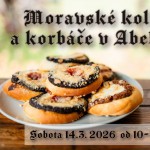 650636421 1303046158538451 6920938331758165466 n