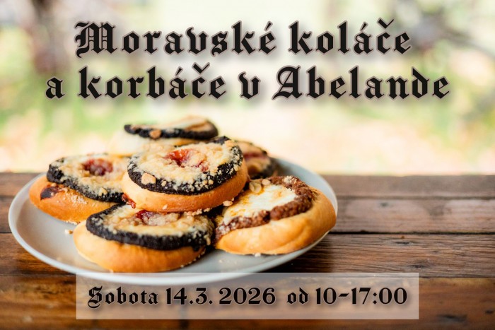 650636421 1303046158538451 6920938331758165466 n