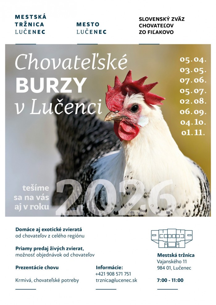 649947153 790053904154677 3435656301147491180 n