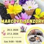 649325670 1555609886311860 7239610200505981464 n