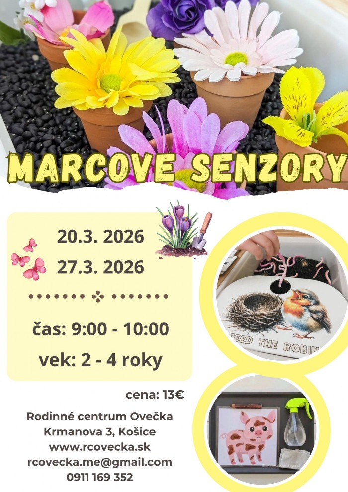 649325670 1555609886311860 7239610200505981464 n