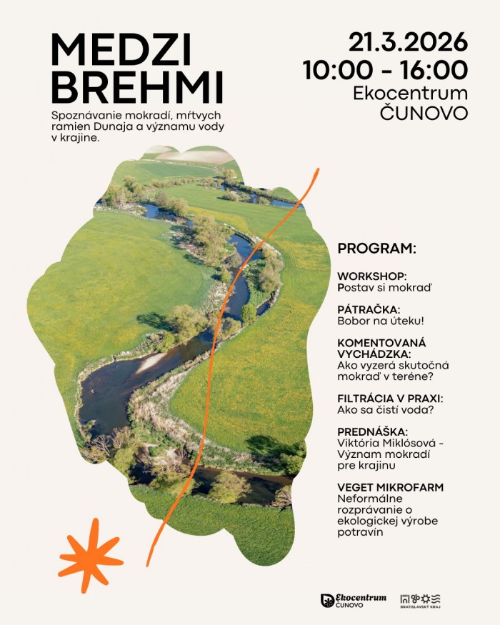 649276470 122164196636853026 8423622253814238820 n