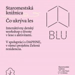 649842538 1360822036086694 3707111255935975598 n