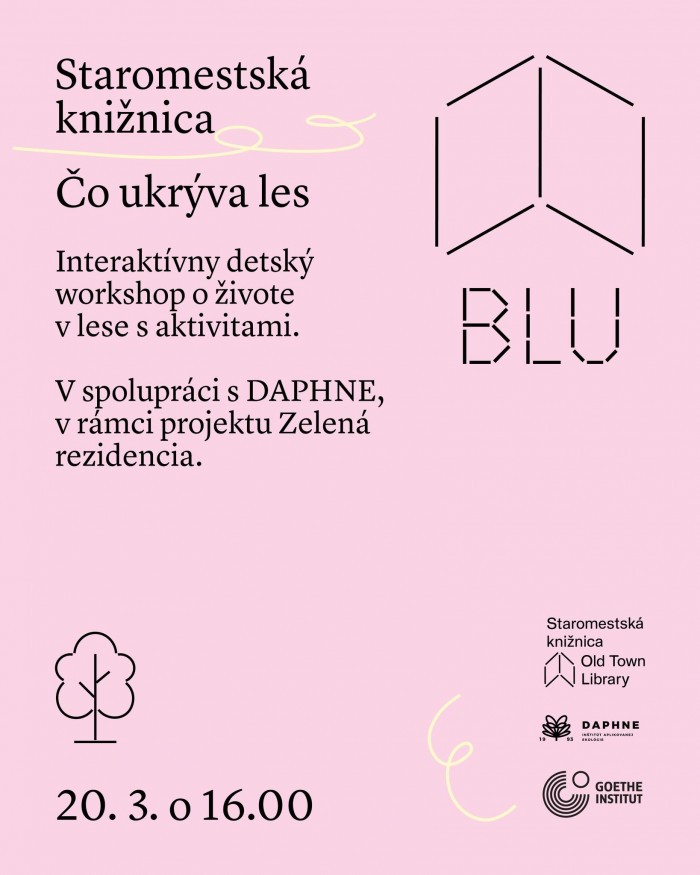 649842538 1360822036086694 3707111255935975598 n