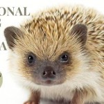 557307210 1120243503418900 1382310483297858383 n