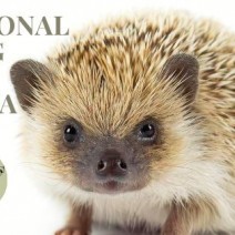 557307210 1120243503418900 1382310483297858383 n