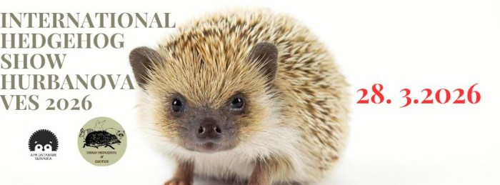 557307210 1120243503418900 1382310483297858383 n