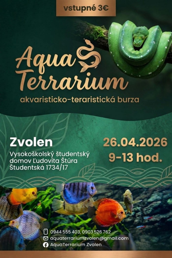 FB IMG 1773770206349