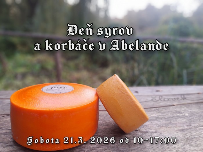 653952469 1308390908003976 3364596352551907111 n