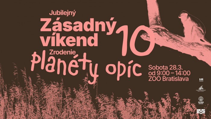 652321544 1231078205878720 2774133988260972279 n