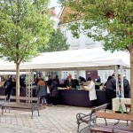 649457735 1454678193169437 8432727586198739262 n