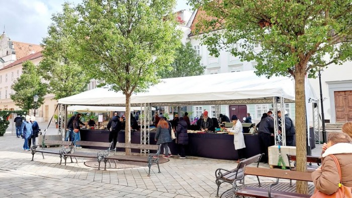 649457735 1454678193169437 8432727586198739262 n