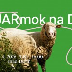 666508036 1538365124965777 1093472508896134030 n