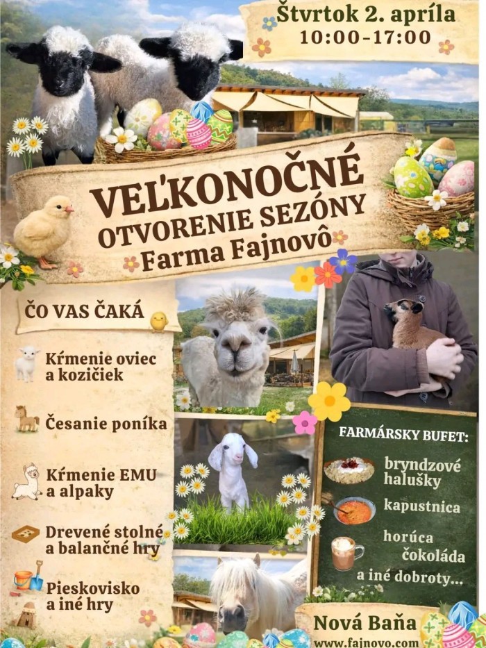 662737409 1502588938163763 5757434313583108666 n