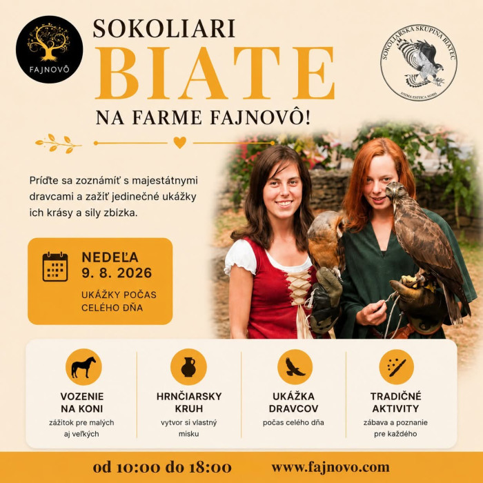 FB IMG 1786035200029