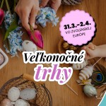 649863125 1722761975841921 7113144791913935504 n