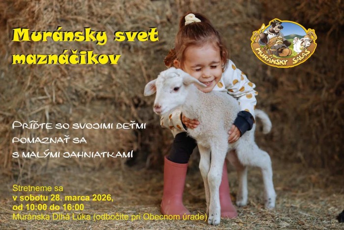 655763592 1228564099468494 596943750051909643 n