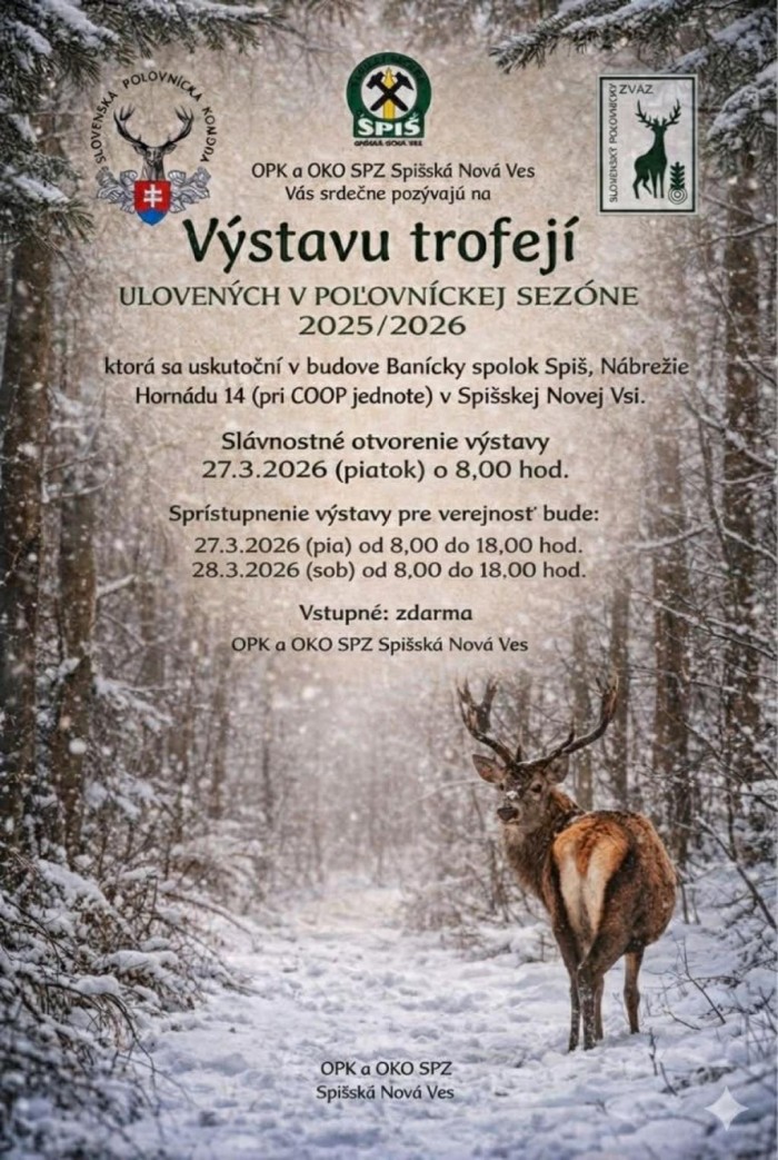 img 83130855c29b113a6daaa744ff1a727c