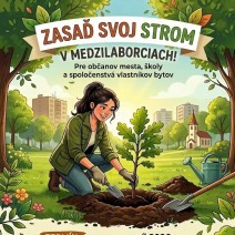 650813341 1867152397570929 3176691683865637636 n