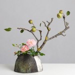 588808087 789784204096455 6652364719330455357 n