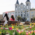 658368359 1274282994844648 8469386105246789748 n 1