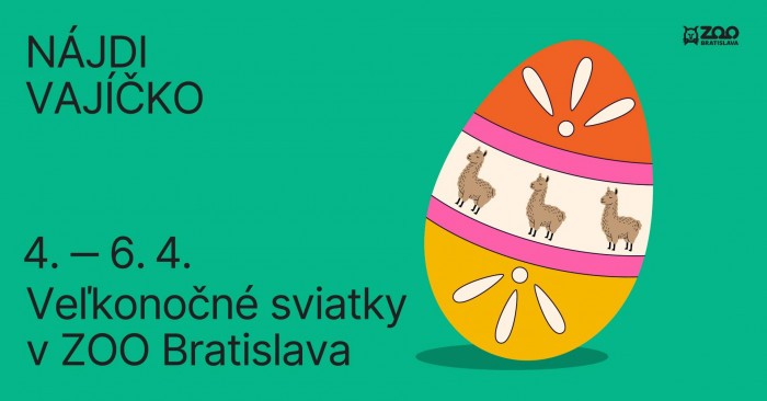 656640826 1537439001722805 2849913150994632567 n