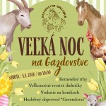 656747342 18427343260143411 3233767261834552621 n