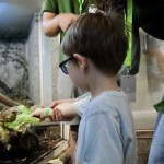 657233374 1392690469561669 2859085054052599944 n