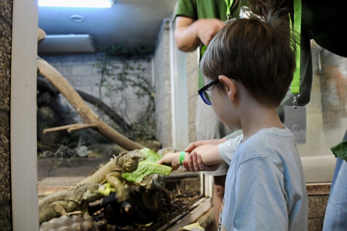 657233374 1392690469561669 2859085054052599944 n